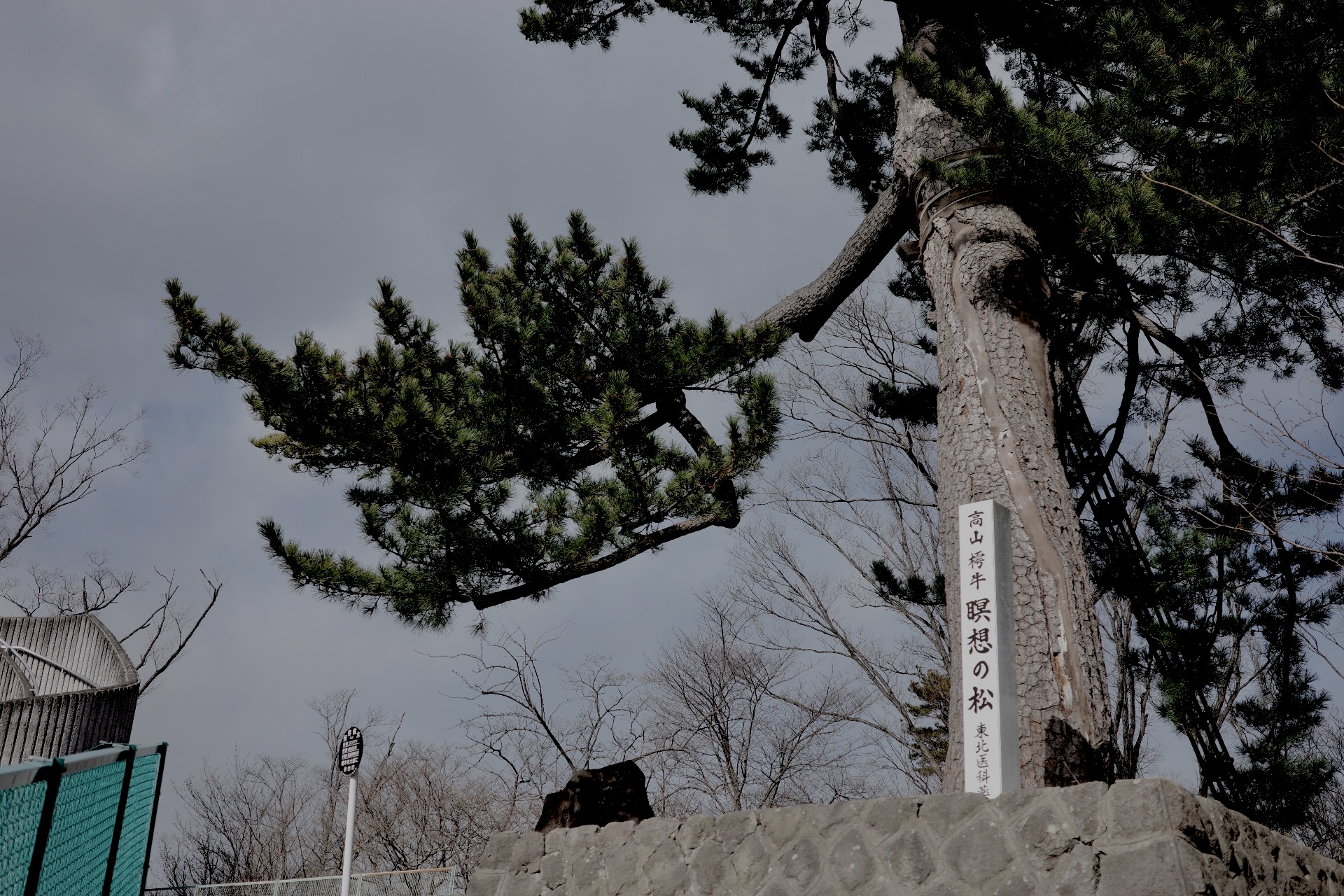 「ようこそ 杜王町へ」の話